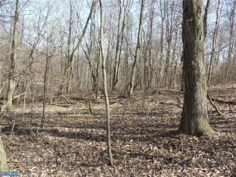 Lot 2 Maryland Cir Downingtown PA