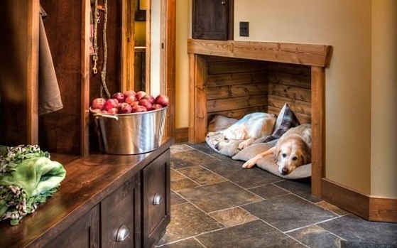 Image result for pet friendly home tips
